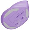 Mysz komputerowa Natec Crake 2 Pure Lavender 2400DPI bezprzewodowa
